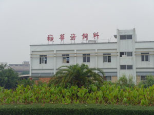 工程案例